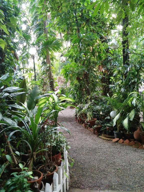 Green Woods Bethlehem Kochi Exterior photo