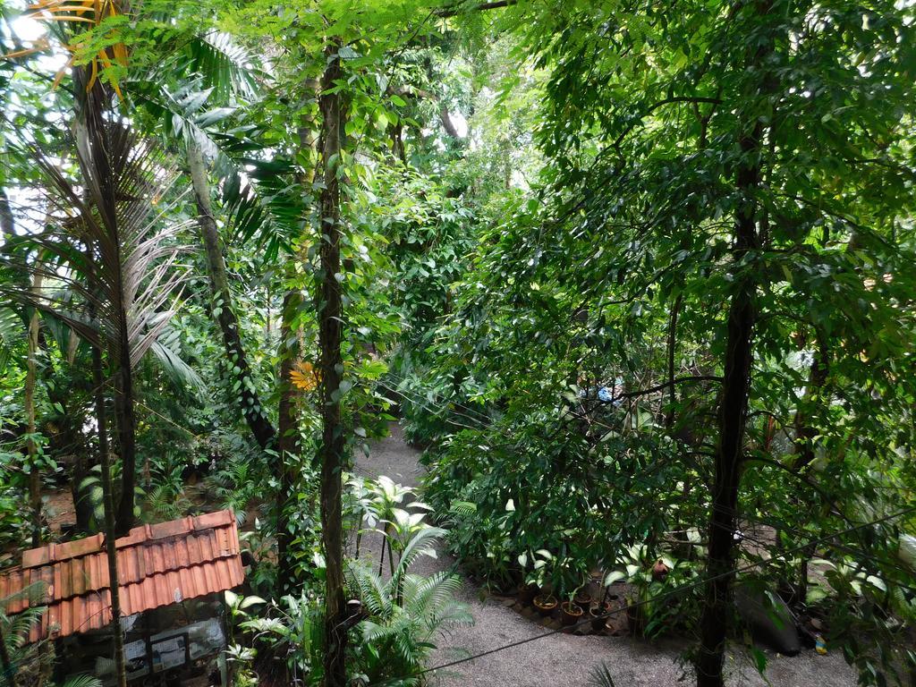 Green Woods Bethlehem Kochi Exterior photo