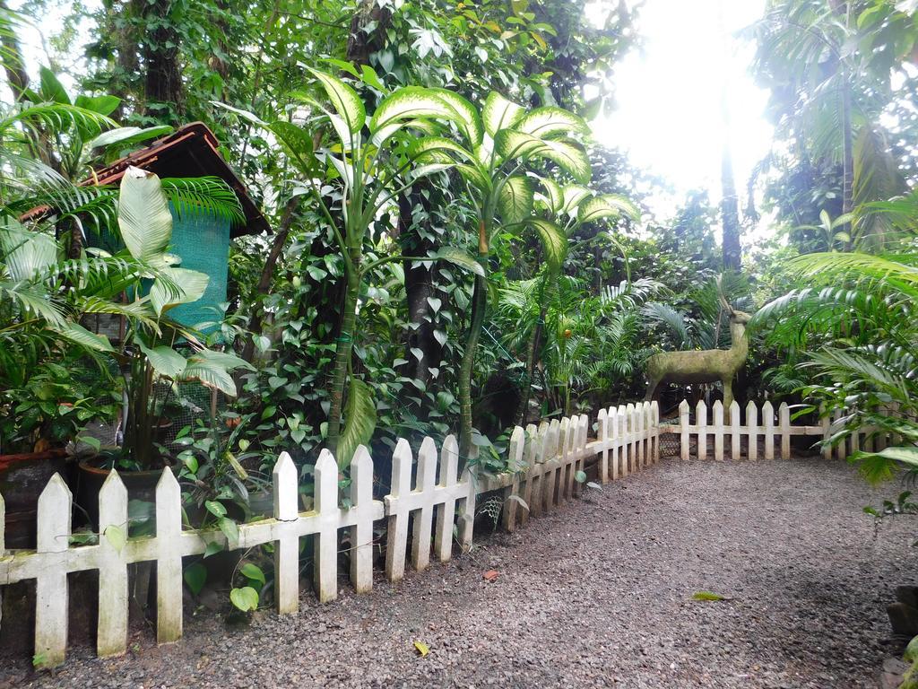 Green Woods Bethlehem Kochi Exterior photo
